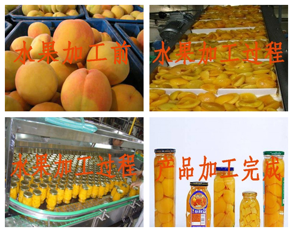 全套黃桃罐頭加工設備—中小型水果罐頭生產(chǎn)線